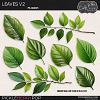 Leaves V2 [CU] by Cindy Ritter