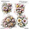 Blooming Aura Overlays
