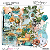 Colorful freshness Elements