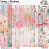 Spring is Coming - Special Papers - by Neia Scraps