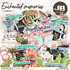 Enchanted Memories Elements by JB Studio