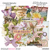 Classic Beauty Elements