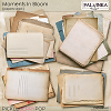 Moments In Bloom Papers Stack