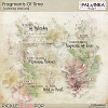 Fragment Of time Overlays and WA 