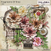 Fragments Of Time Kit