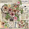 Fragments Of Time Collection