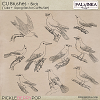 CU Brushes - Birds