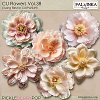 CU Flowers 38