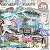 Raindrops & Blooms Kit by JB Studio