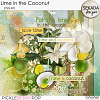 Lime in the Coconut [mini kit] by Sekada Designs