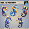 Of the Sea 6: Seahorses