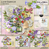 June Essence Collection
