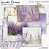 Lavender Dreams - Lavender Papers