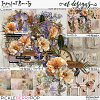 Imperfect Beauty Bundle by et designs