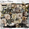 A Life in Pictures - Page Kit