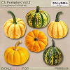 CU Pumpkins 2