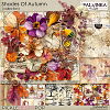Shades Of Autumn Collection