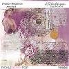 Shabby Elegance Artsy Pack
