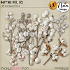 Berries VOL02 - CU - by Neia Scraps