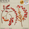 Berries VOL03 - CU - by Neia Scraps