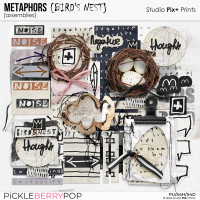 Metaphors: Bird's Nest - assemblies