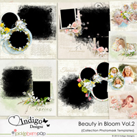 Collection Beauty in Bloom Photo Mask Templates  Vol.2