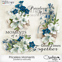 Priceless Moments Clusters & Word Arts