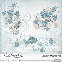 Simple Moments Accent Overlays  