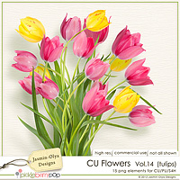 CU Flowers Vol.14 - tulips (Jasmin-Olya Designs)