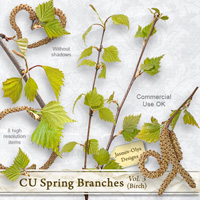 CU Spring branches Vol.3 (birch)