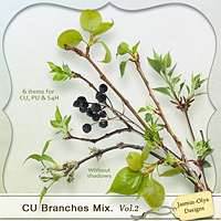 CU Branches Mix. Vol.2