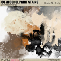 CU - Alcohol Paint Stains