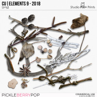 CU - Elements 9 - 2018