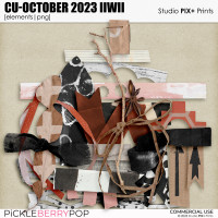 CU - October 2023 IIWII