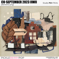 CU - September 2023 IIWII