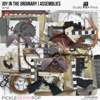 Joy In The Ordinary - assemblies