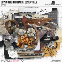 Joy In The Ordinary - essentials