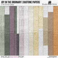 Joy In The Ordinary - duotone papers