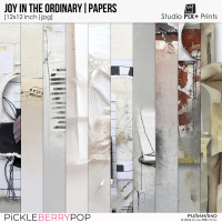 Joy In The Ordinary - papers