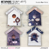 Metaphors: Bird's Nest - printable birdhouse giftbox