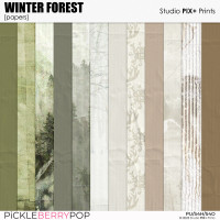 Winter Forest - Papers