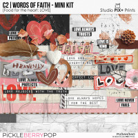 C2 - Words of Faith - mini kit