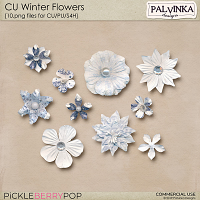 CU Winter Flowers