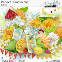 Perfect Summer Sip (full kit)