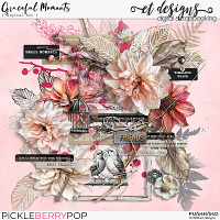 Graceful Moments Kit by et designs