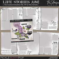 Life Stories Templates June 2022