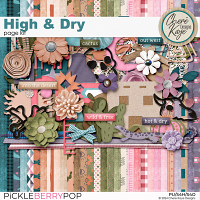 High & Dry Page Kit