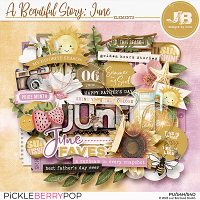 A Beautiful Story: June Elements by JB Studio