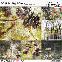 Walk In The Woods-Artsy paper