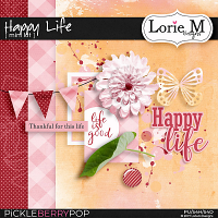 Happy Life Mini Kit 